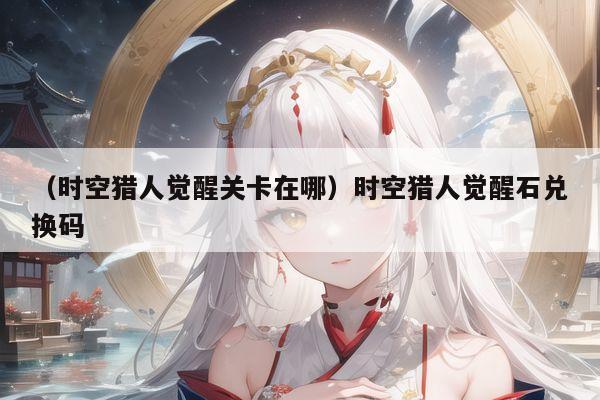 （时空猎人觉醒关卡在哪）时空猎人觉醒石兑换码