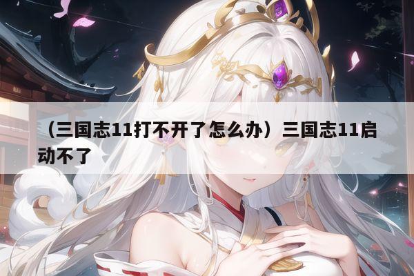 （三国志11打不开了怎么办）三国志11启动不了