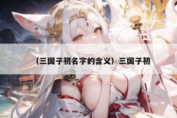 （三国子初名字的含义）三国子初