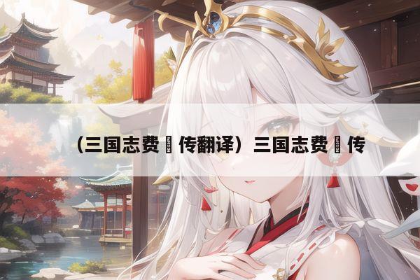(三国志费祎传翻译)三国志费祎传