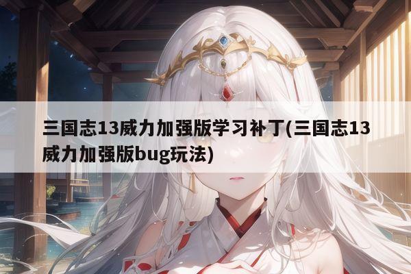 三国志13威力加强版学习补丁(三国志13威力加强版bug玩法)