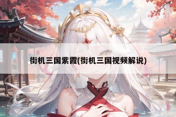 街机三国紫霞(街机三国视频解说)